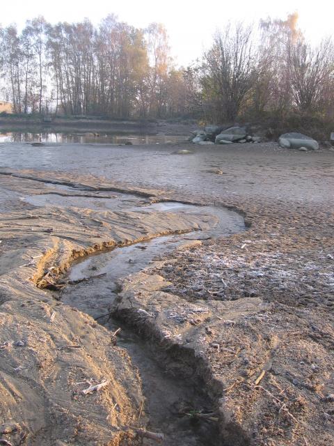 10-vylov-rybnika-29.10.2010 140